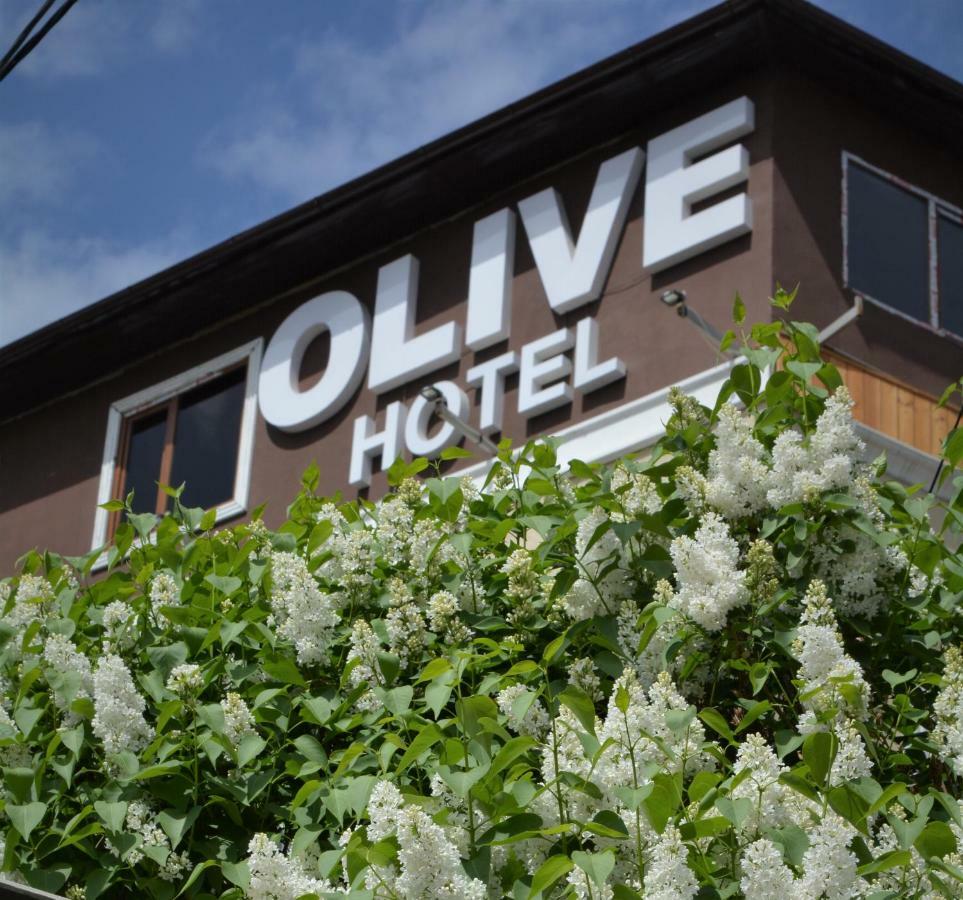 Olive Hotel Bichkek Extérieur photo